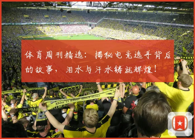 体育周刊精选：揭秘电竞选手背后的故事，泪水与汗水铸就辉煌！