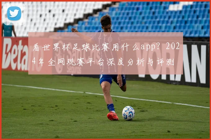看世界杯足球比赛用什么app？2024年全网观赛平台深度分析与评测