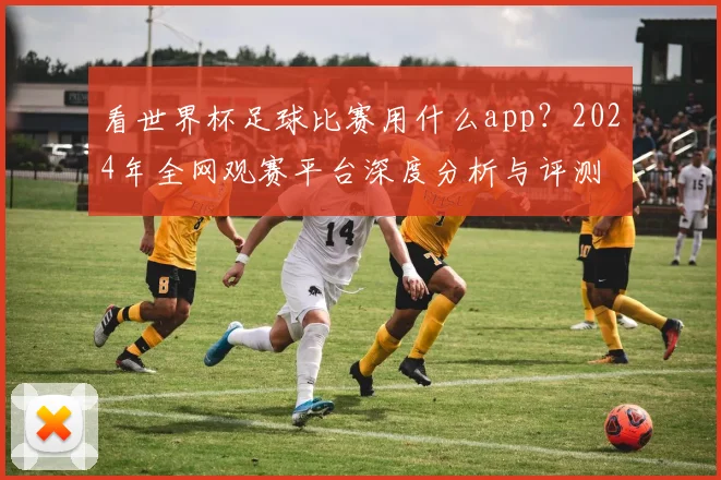 看世界杯足球比赛用什么app？2024年全网观赛平台深度分析与评测