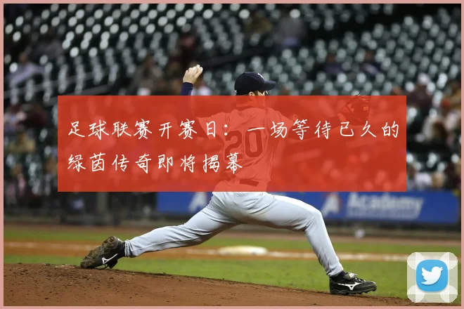 足球联赛开赛日：一场等待已久的绿茵传奇即将揭幕